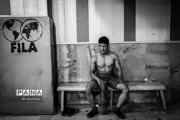 رقابت های انتخابی تیم ملی کشتی فرنگی امید