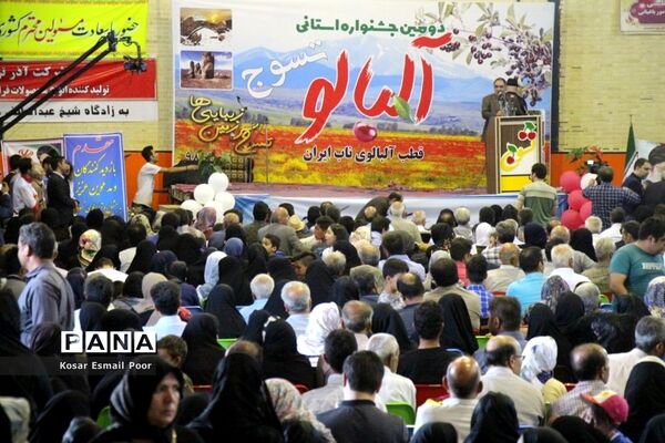 دومین جشنواره آلبالو در تسوج