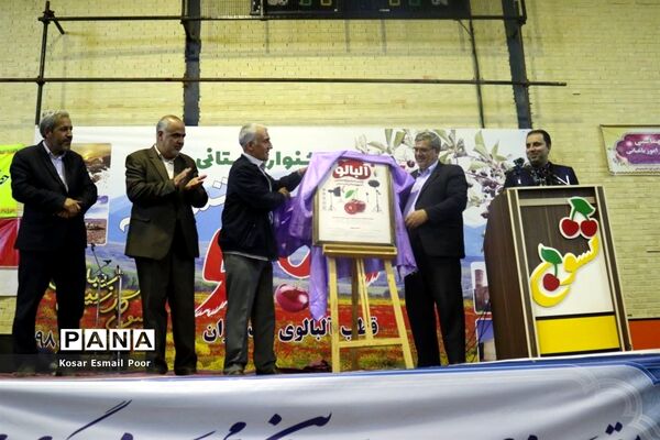 دومین جشنواره آلبالو در تسوج