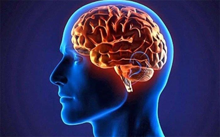 حل معمای کما و افسردگی با ام.آر.آی 4 روزه
