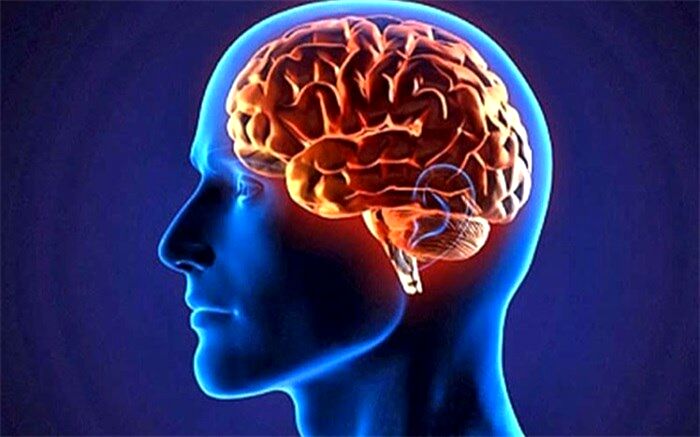 حل معمای کما و افسردگی با ام.آر.آی 4 روزه