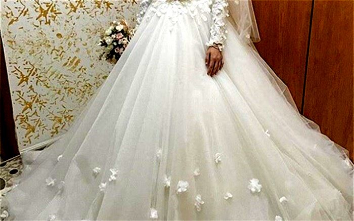 تازه داماد عروس را قال گذاشت و به کانادا رفت!