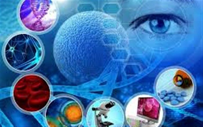 دانش آموز برتر ایلامی از صعود به مرحله  دوم المپیاد علمی سلول های بنیادی گذر کرد