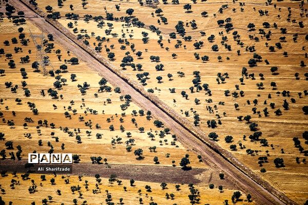 توزیع کالای اساسی بین سیل زدگان استان لرستان