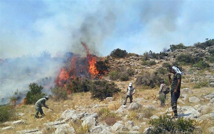 آمادگی کامل گروه ویژه " امداد طبیعت" تا پایان فصل گرما