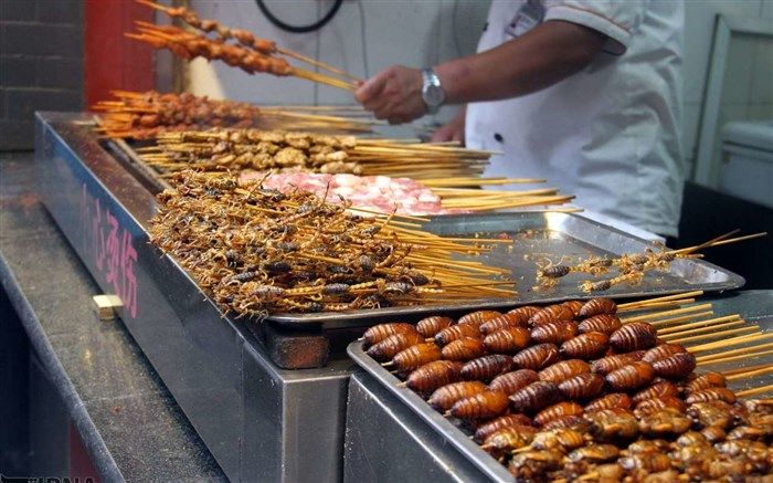 طنز/حشره‌ها ما آمدیم