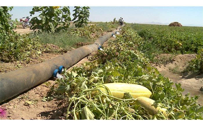 رییس سازمان جهاد کشاورزی استان خراسان جنوبی:  اجرای سامانه های نوین آبیاری در هزار هکتار