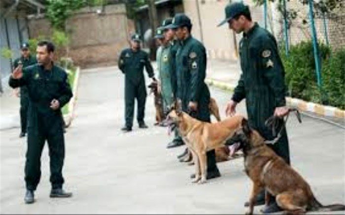 سردار اشتری : سیصد تن مواد مخدر از ابتدای امسال تاکنون کشف شد