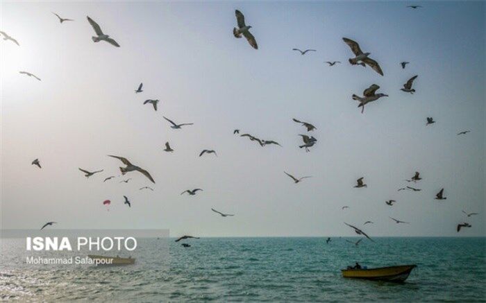 زیستگاه‌های حساس ساحلی و دریایی کشور معرفی می‌شوند