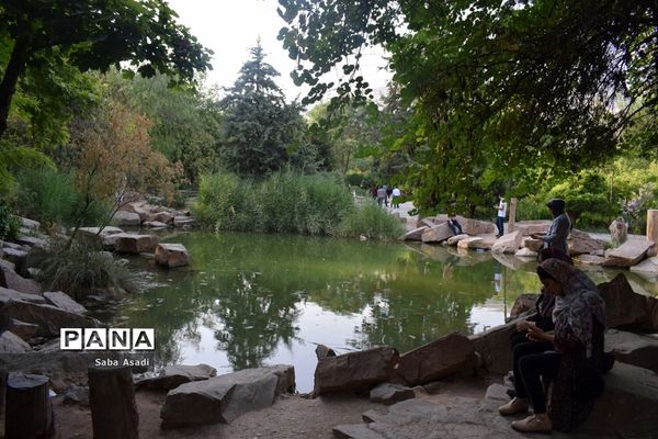 باغ ارم زیبایی چهار فصل شیراز