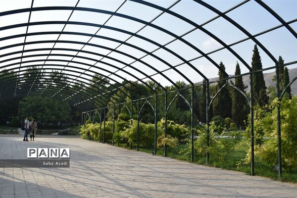 باغ ارم زیبایی چهار فصل شیراز