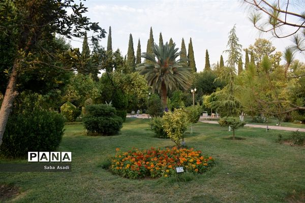 باغ ارم زیبایی چهار فصل شیراز
