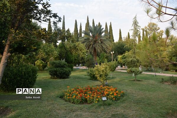 باغ ارم زیبایی چهار فصل شیراز