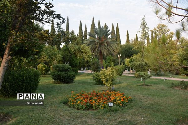 باغ ارم زیبایی چهار فصل شیراز