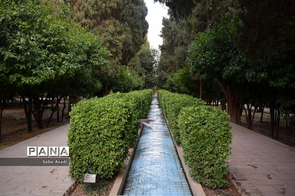 باغ ارم زیبایی چهار فصل شیراز