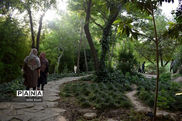 باغ ارم زیبایی چهار فصل شیراز