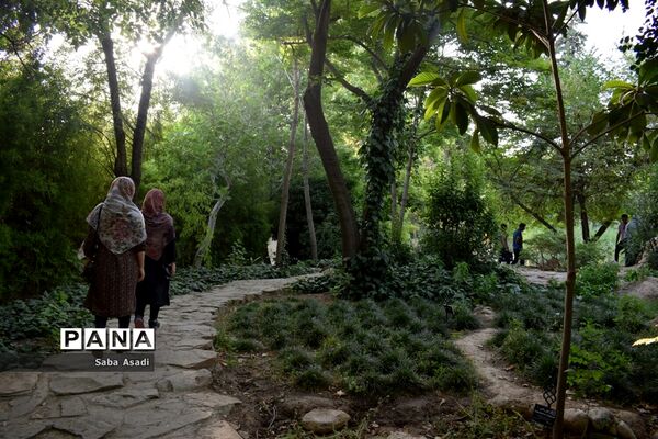باغ ارم زیبایی چهار فصل شیراز