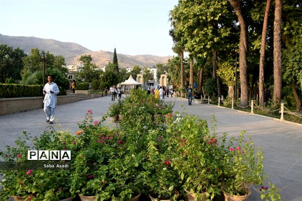 باغ ارم زیبایی چهار فصل شیراز
