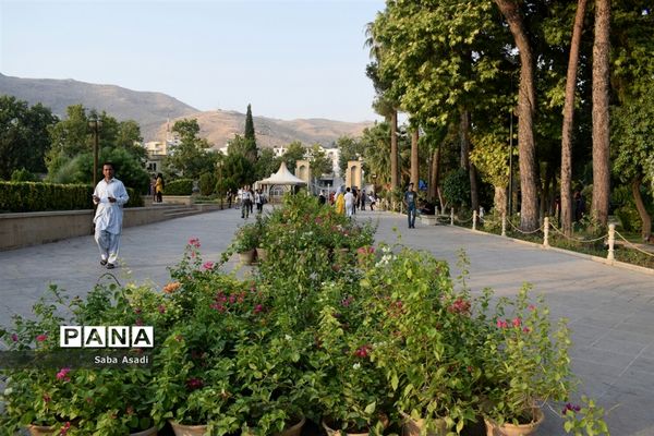 باغ ارم زیبایی چهار فصل شیراز