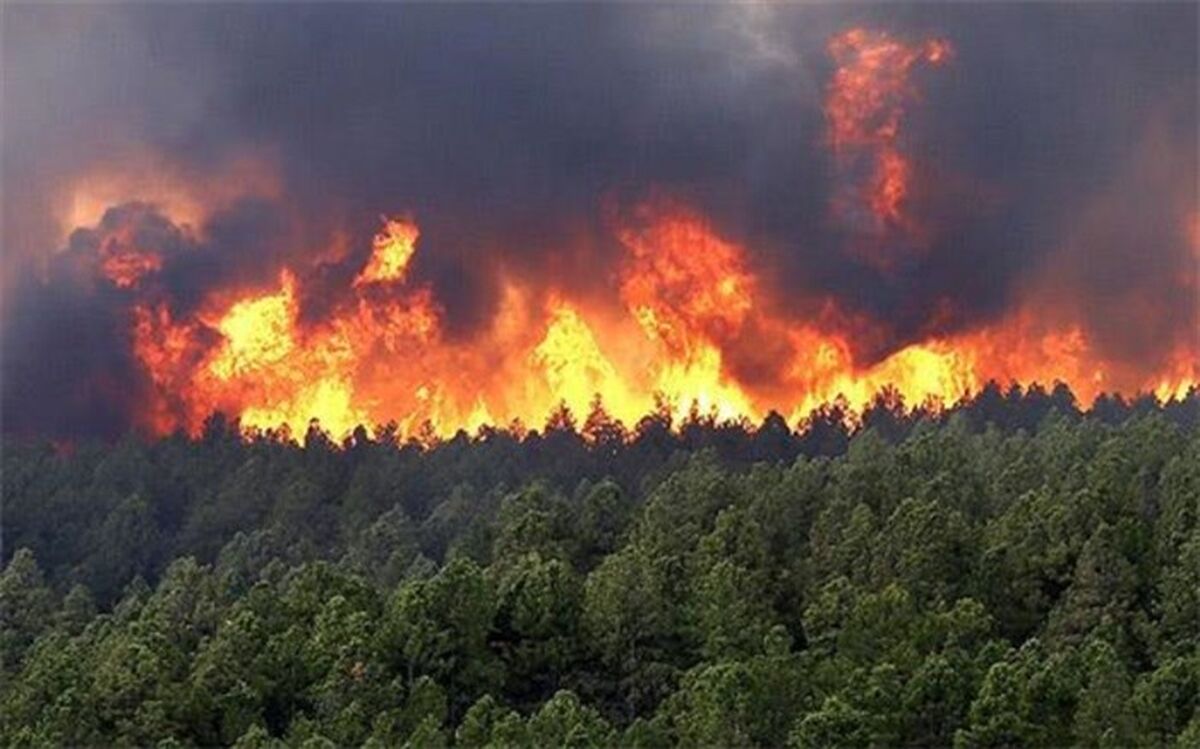 آتش سوزی در   35 هکتار از بقایای مزارع گندم  در کازرون