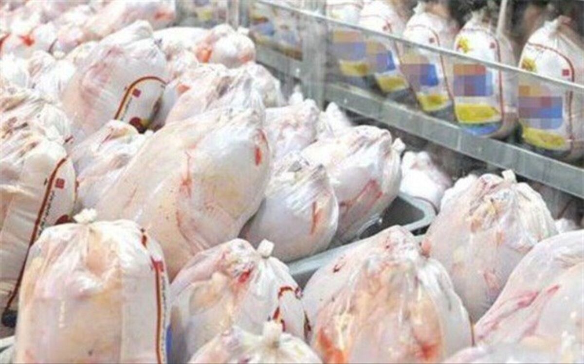 آغاز توزیع مرغ 12900 تومانی تنظیم بازاری از امروز در زاهدان