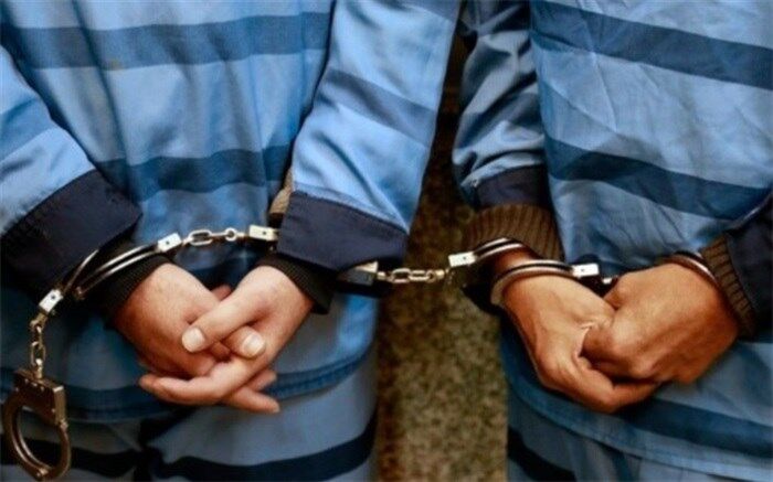 تبعه خارجی با کلاهبرداری 12 میلیارد تومانی در بیرجند دستگیر شد