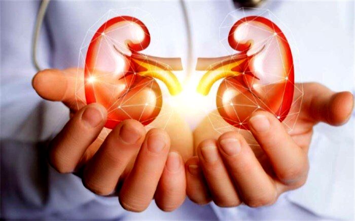 راه‌هایی برای مراقبت از کلیه + اینفوگرافی