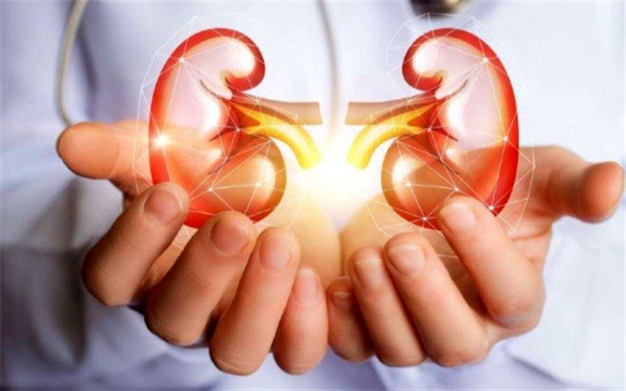 راه‌هایی برای مراقبت از کلیه + اینفوگرافی