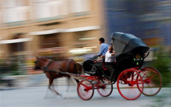 وضع بد نگهداری اسب‌ها در میدان نقش جهان