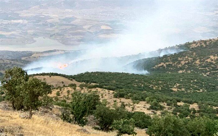 آتش‌سوزی جنگل‌های سردشت مهار شد