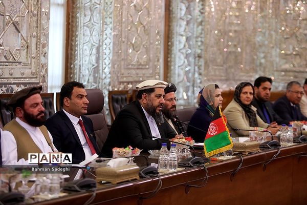 دیدار و کنفرانس خبری رؤسای مجالس ایران و افغانستان