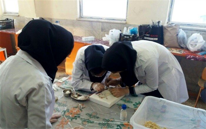 شیوه‌نامه برگزاری اولین جشنواره علمی پژوهشی پژوهش‌سراهای دانش‌آموزی ابلاغ شد