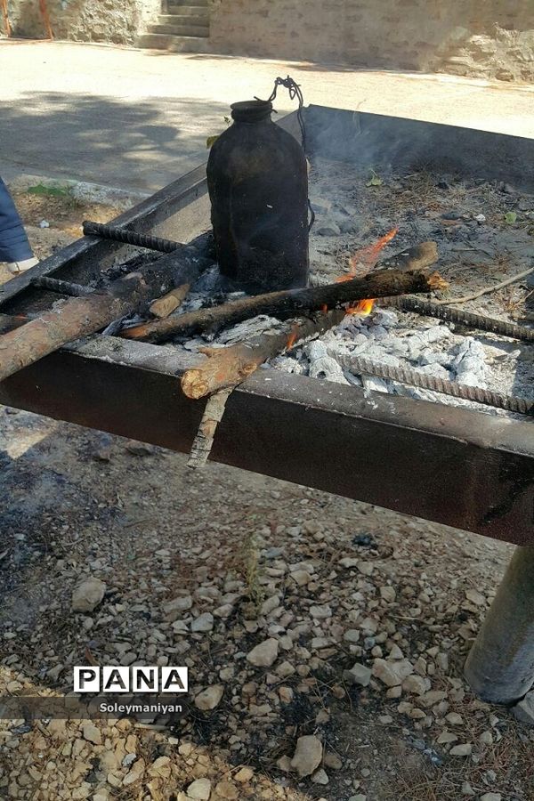 اردوی دانش‌آموزان دختر پیشتاز شهرستان شاهرود