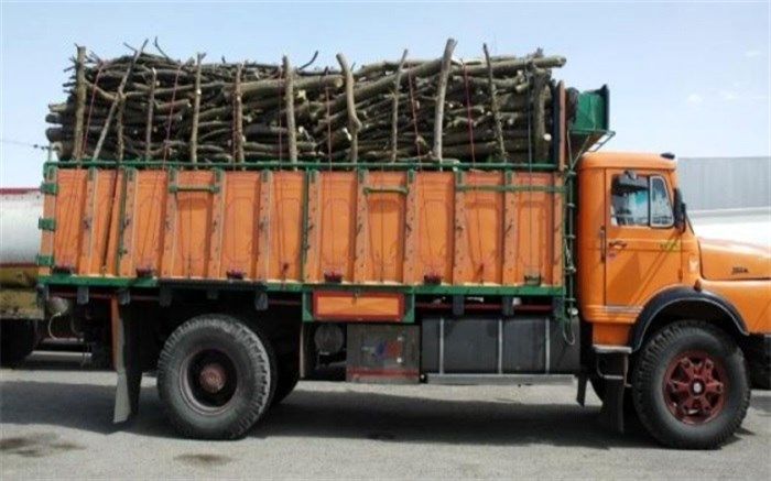 کشف و ضبط دو هزار و 700 کیلوگرم چوب جنگلی قاچاق در شهرستان رستم