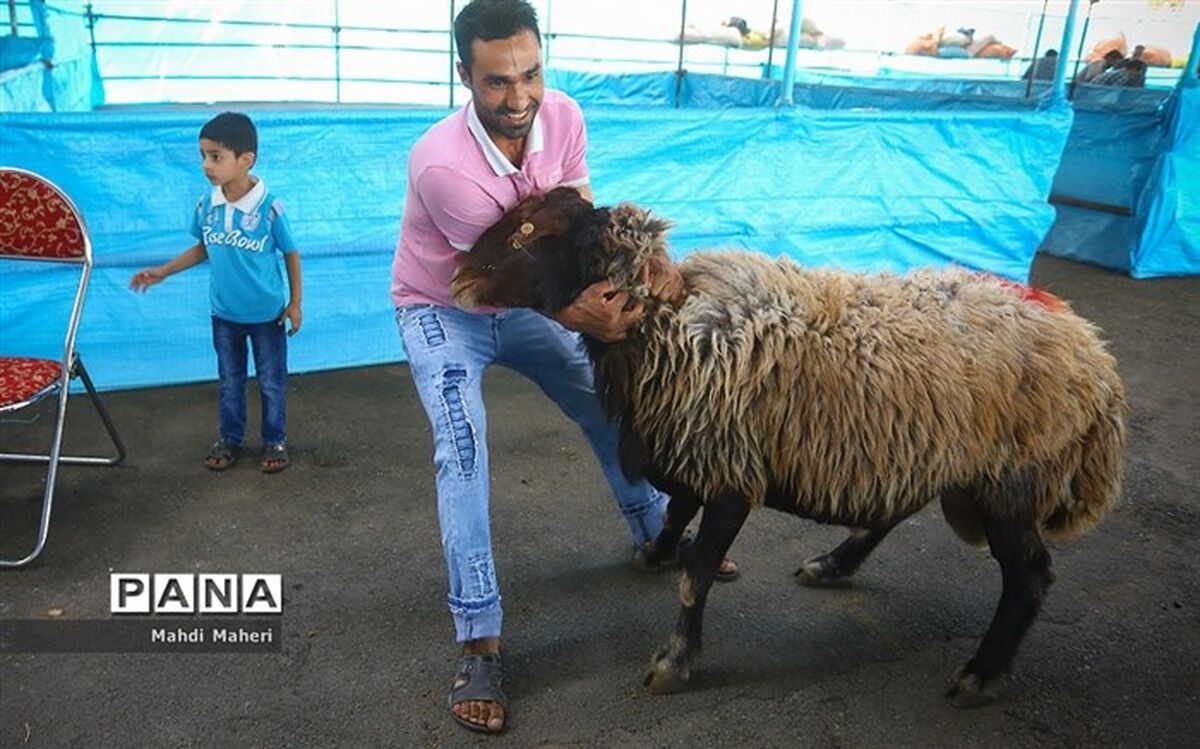 آمادگی ۱۵۰ پایگاه تهران برای دریافت نذورات عید قربان + آدرس