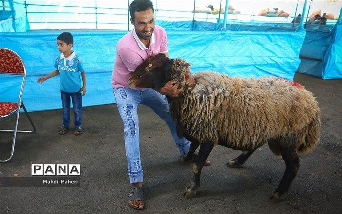 آمادگی ۱۵۰ پایگاه تهران برای دریافت نذورات عید قربان + آدرس