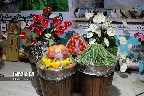 چهارمین نمایشگاه توانمندی‌های روستاییان و عشایر کشور