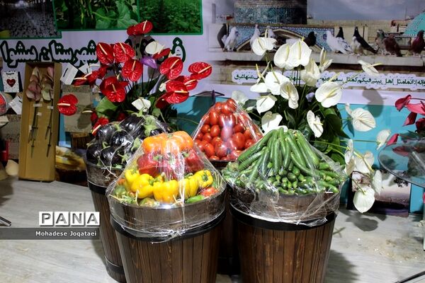 چهارمین نمایشگاه توانمندی‌های روستاییان و عشایر کشور