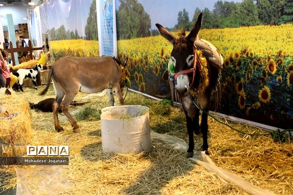 چهارمین نمایشگاه توانمندی‌های روستاییان و عشایر کشور