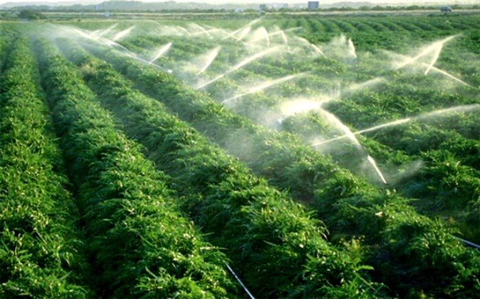 کمک بلاعوض به طرح های آبیاری نوین کشاورزی
