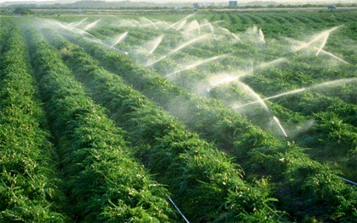 کمک بلاعوض به طرح های آبیاری نوین کشاورزی