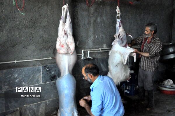 تقسیم گوشت نذری بین نیازمندان شهرستان خوسف