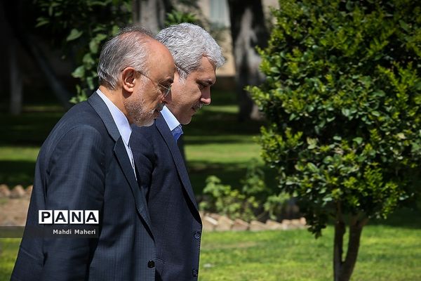 در حاشیه جلسه هیئت دولت