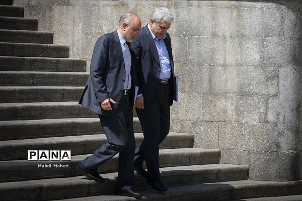 در حاشیه جلسه هیئت دولت