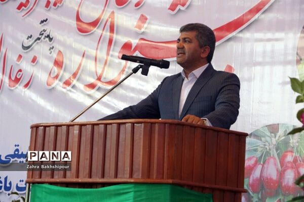 جشنواره زغال اخته در کلیبر