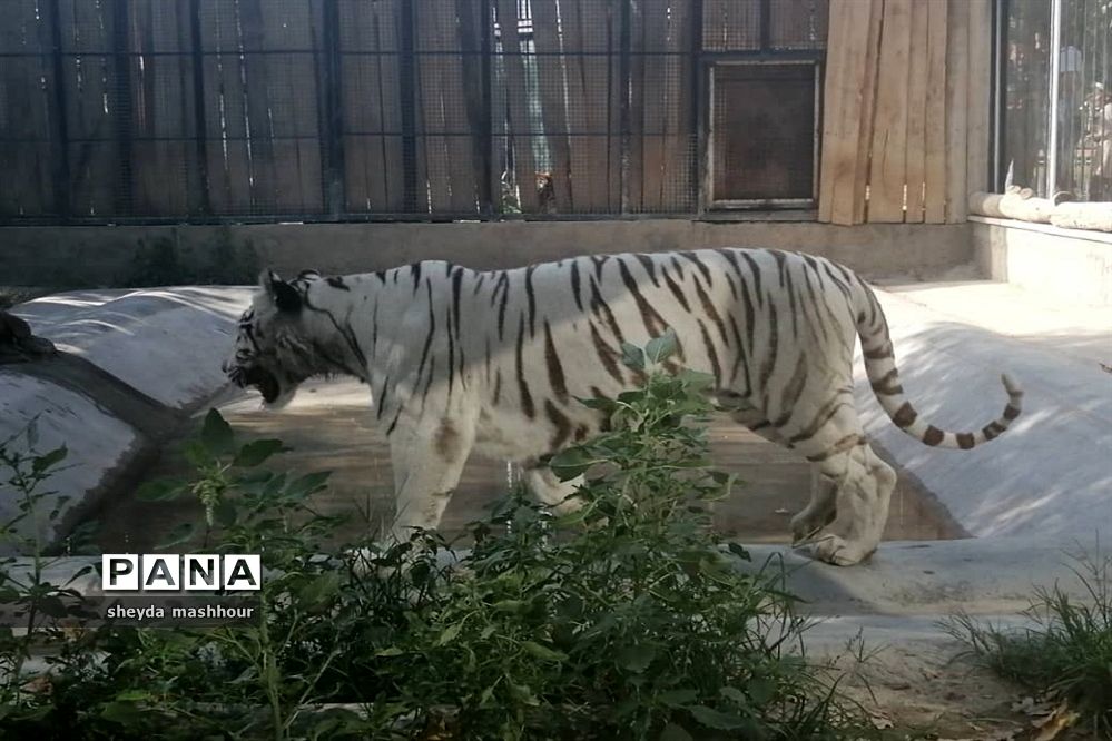 باغ وحش ارم تهران