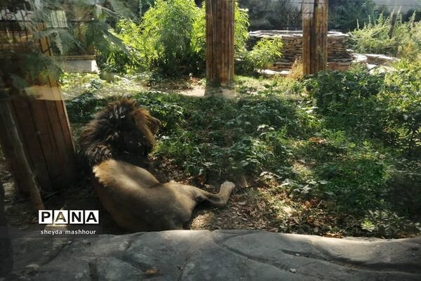 باغ وحش ارم تهران