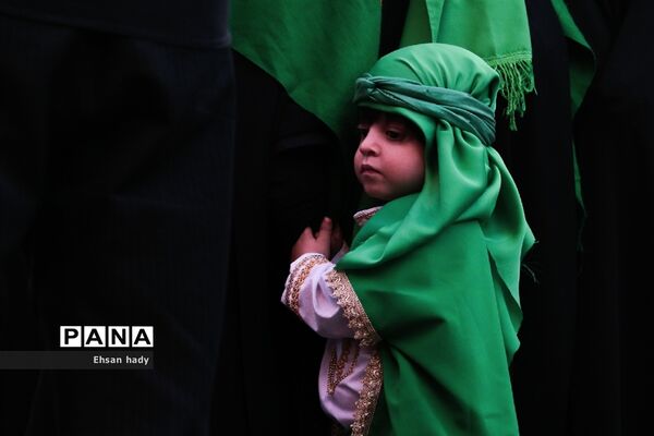 ورود نمادین قافله سید الشهداء به کربلا