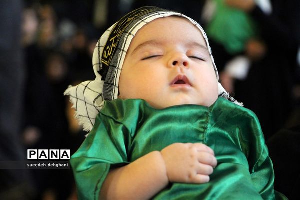 پانزدهمین همایش جهانی شیرخوارگان حسینی در شیراز