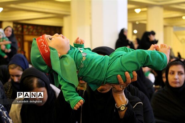 پانزدهمین همایش جهانی شیرخوارگان حسینی در شیراز